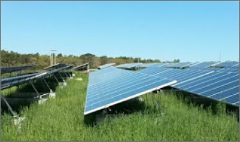 Solar panels with grass underneath